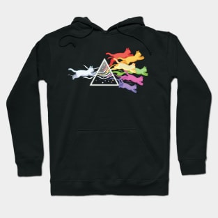 Cat Rainbow Prism Light Funny Physics Science Spectral Cat Hoodie